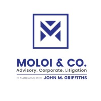 Moloi & Co.(Botswana) logo - Similar company to Since News