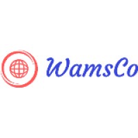 WamsCo cloud logo - Similar company to Go Africa