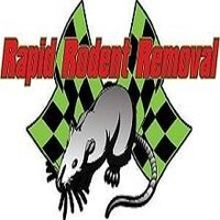 RAPID RODENT REMOVAL logo - Similar company to Proctor Pest Control
