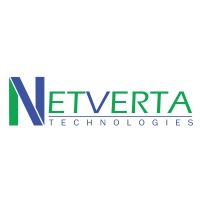 Netverta logo - Similar company to Tilt Analytics, Llc