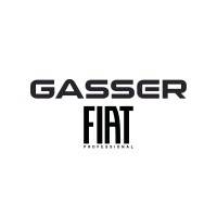Gasser Fiat Professional logo - Similar company to Gasser Iveco