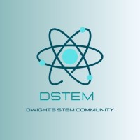DSTEM logo - Similar company to Codingquest
