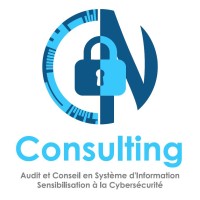 CN Consulting logo - Similar company to Python Cameroon