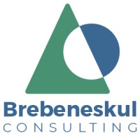 Brebeneskul Consulting logo - Similar company to Ncdev
