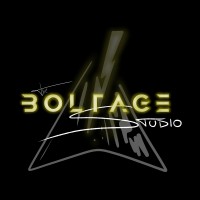 The Boltage Studio logo - Similar company to Arcarlo®