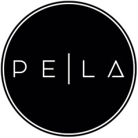 P.E. / L.A. Consulting