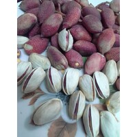 Pecan Nut , Hazelnut , Chestnut for sale logo - Similar company to Ai-Nut Ai For Hazelnut