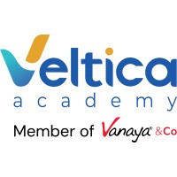 Veltica Academy logo - Similar company to Vanaya Indonesia