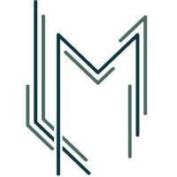 LM Tech Solutions logo - Similar company to Jetai Labs