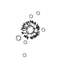 Carlinae logo - Similar company to Andrew Gn