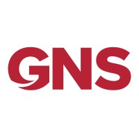 Global Network Security logo - Similar company to Heivision