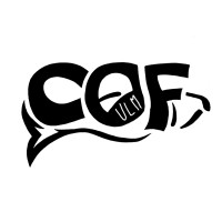 Comité d'Organisation des Fêtes - ENS logo - Similar company to Dgnum - Délégation Générale Du Numérique