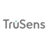 TSAP logo - Similar company to Riztech Solutions