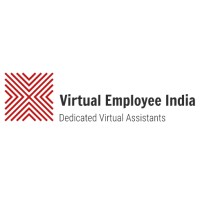 Virtual Employee India logo - Similar company to Virtualemployee.Com