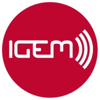 Igem Interessengemeinschaft Elektronische Medien