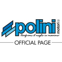 POLINI MOTORI S.P.A. logo - Similar company to Fils Spa