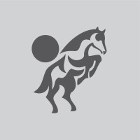 OddBronco logo - Similar company to Weel Technologies Inc