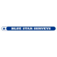 Blue Star Surveys