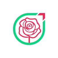 roseoj.com logo - Similar company to ایتسکا بروکرز (Itsca-Brokers)