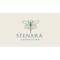 Stenara Consulting, LLC logo - Similar company to Mercer Digital