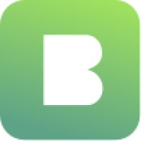 Bleiim logo - Similar company to Dpe Systems