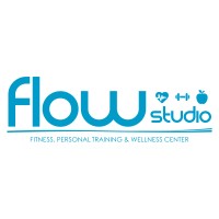 FlowStudio logo - Similar company to Tmg