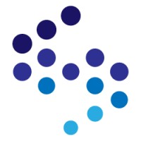 Singulariti logo - Similar company to Singulariti