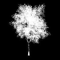 Prosperitree Consulting logo - Similar company to Bitflex Fintech®