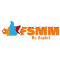 Follower SMM logo - Similar company to Instasell Technologies