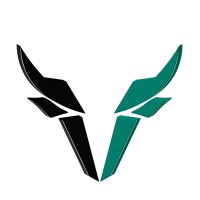 Veye - Between Bulls & Bears logo - Similar company to Vulcury