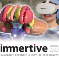 Immertive logo - Similar company to Plugxr