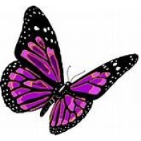 Coloplast A/S logo - Similar company to Fuji Systems Corporation