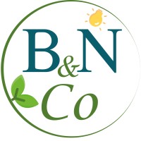 B&N Conseil logo - Similar company to Hippocrate Agency