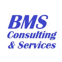 BMS Consulting & Services logo - Similar company to Bms Services
