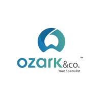 Ozark & Co. logo - Similar company to Rvs Tech