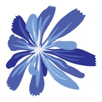 Sentinel Finance Group | CFO Services in Kansas City logo - Similar company to Capior Finance Group