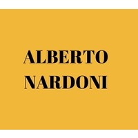 Alberto Nardoni logo - Similar company to Harold Meagan