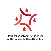 Global Action Network for Sickle Cell & Other Inherited Blood Disorders logo - Similar company to Oman Hereditary Blood Disorders Association