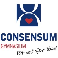 CONSENSUM LUND AB logo - Similar company to Doktorama