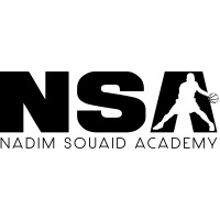 NSA Lebanon logo - Similar company to Intelliware Sarl