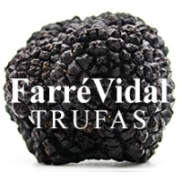 Farré Vidal Trufas logo - Similar company to Trufas Del Nuevo Mundo