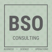 BSO Consulting, LLC logo - Similar company to Bso Consulting