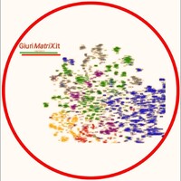 GiuriMatriX logo - Similar company to Joint Group