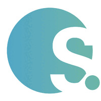 Solve Strategies logo - Similar company to Climateactionx