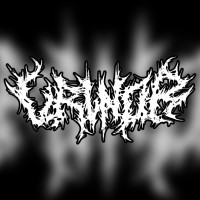 VRLNDR logo - Similar company to Vrln