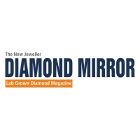 Diamond Mirror logo - Similar company to Bsm Brasil