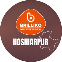 Brilliko Hoshiarpur logo - Similar company to Brilliko Institute Of Multimedia