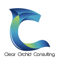 Clear Orchid Ltd logo - Similar company to Business Technology Leaders