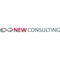New Consulting logo - Similar company to Ney Consulting Services
