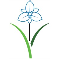Bleu Iris Consultancy LLC logo - Similar company to Persyst Systems Pvt Ltd